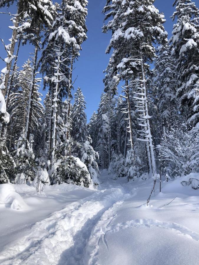 Schwarzwaldblick Leilighet St. Georgen im Schwarzwald Eksteriør bilde